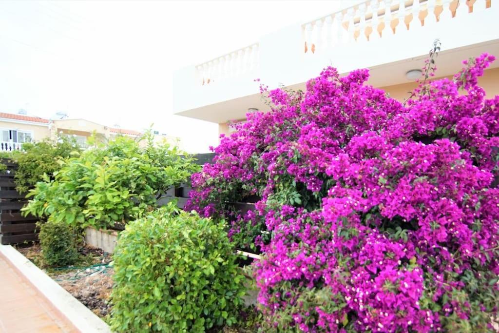 Central Pool-Side 2 Bedroom Apartment In パ フォス エクステリア 写真